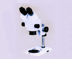固定倍數(shù)顯微鏡